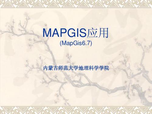 Mapgis操作详述步骤3