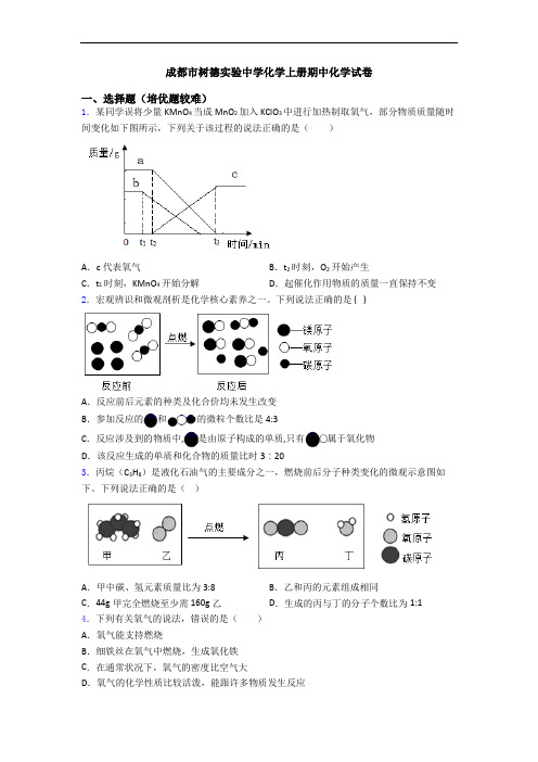 成都市树德实验中学化学初三化学上册期中化学试卷