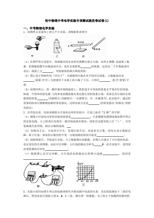 初中物理中考电学实验专项测试提优卷试卷(1)