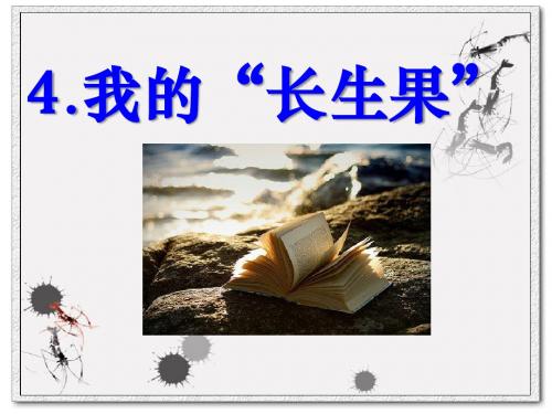 1我的长生果