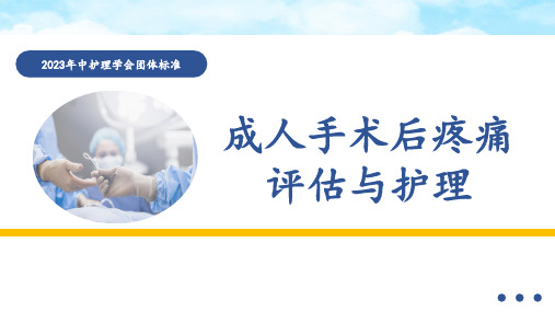 成人手术后疼痛评估与护理(2023中华护理学会团体标准)全文