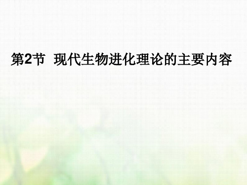 2017-2018学年高中生物必修二人教版共同进化与生物多样性的形成课件(26张)