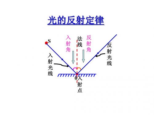 八年级物理光的反射