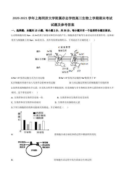 2020-2021学年上海同济大学附属存志学校高三生物上学期期末考试试题及参考答案