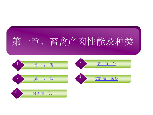 畜禽产肉性能及种类