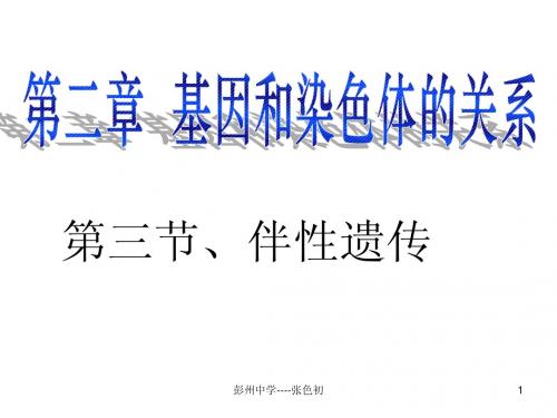 人教版教学课件四川省彭州中学高一生物《伴性遗传》课件