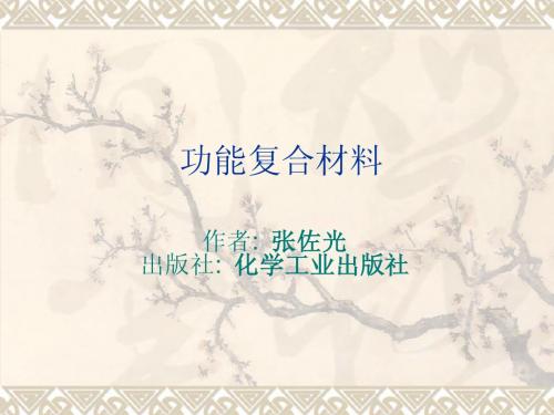 6功能复合材料