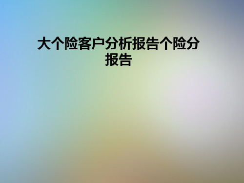 大个险客户分析报告个险分报告