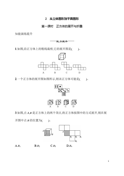 1.2从立体图形到平面图形+同步练习+2024-2025学年北师大版(2024)数学七年级上册