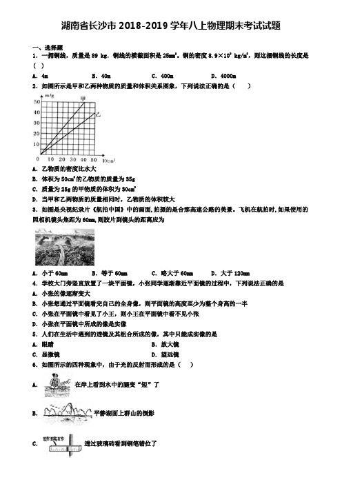 湖南省长沙市2018-2019学年八上物理期末考试试题