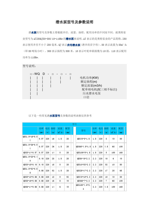 潜水泵型及参数说明