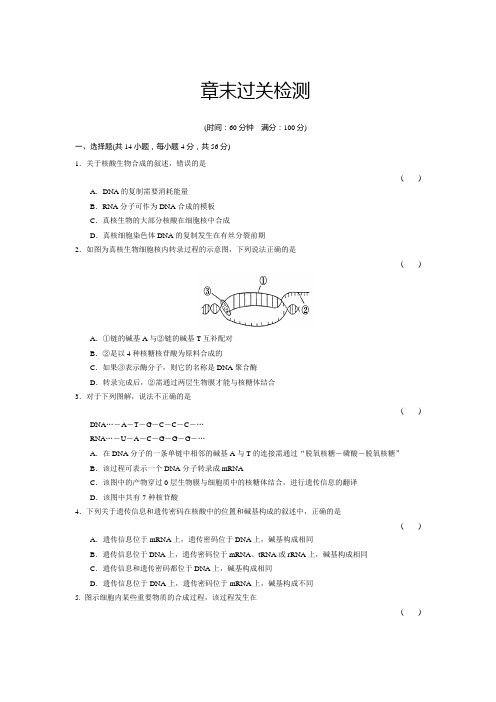 (word完整版)人教版高中生物必修二第四章过关检测