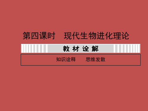 高三生物一轮复习课件：74现代生物进化理论-82页PPT资料