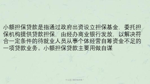 什么是小额担保贷款？课件