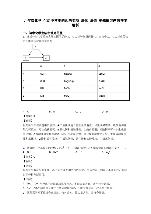 九年级化学 生活中常见的盐的专项 培优 易错 难题练习题附答案解析