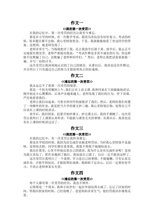 第一次受罚作文300字