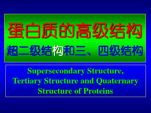 6-蛋白质化学4-高级结构