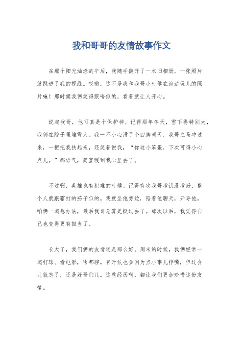 我和哥哥的友情故事作文