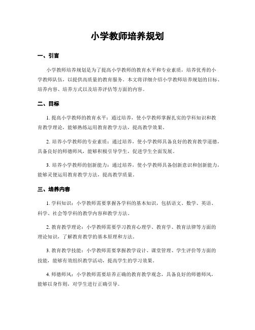 小学教师培养规划 (2)