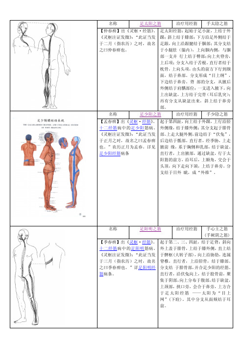 重新整理的十二经筋有图