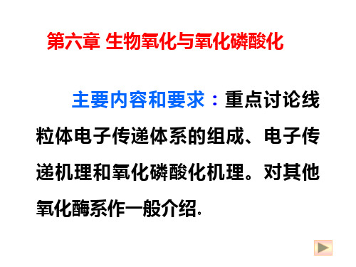 第六章生物氧化与氧化磷酸化ok