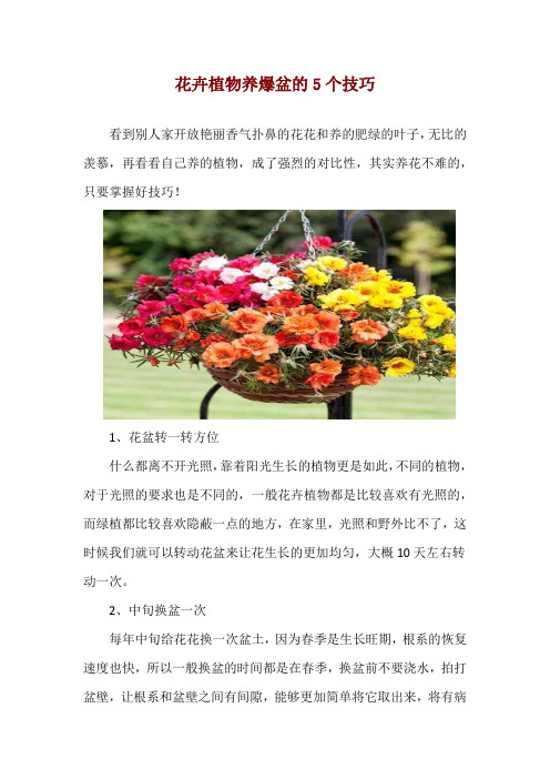 花卉植物养爆盆的5个技巧