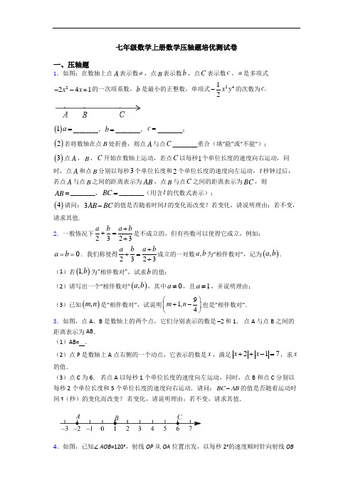 七年级数学上册数学压轴题培优测试卷