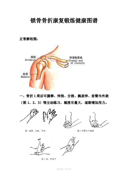 锁骨骨折康复锻炼健康图谱