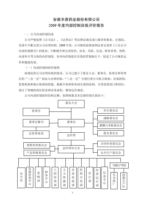 丰原药业：2009年度内部控制自我评价报告 2010-04-16