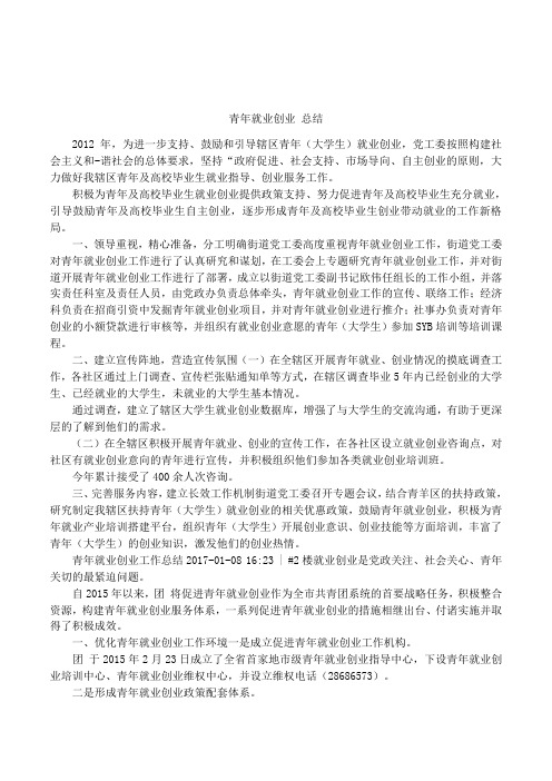 青年就业创业 总结