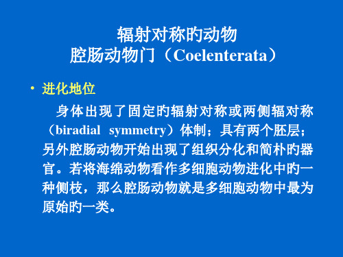 腔肠动物专业知识