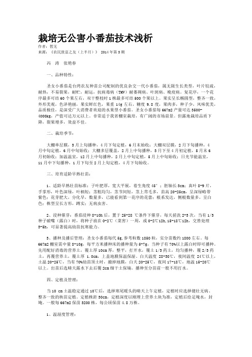 栽培无公害小番茄技术浅析