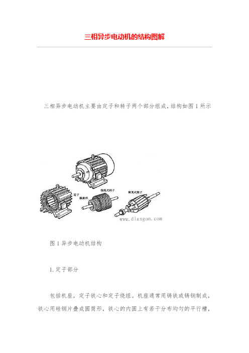 三相异步电动机的结构图解