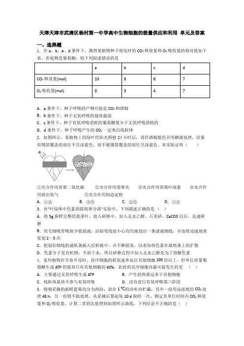 天津天津市武清区杨村第一中学高中生物细胞的能量供应和利用 单元及答案