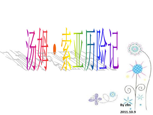 《汤姆索亚历险记》优秀课件PPT