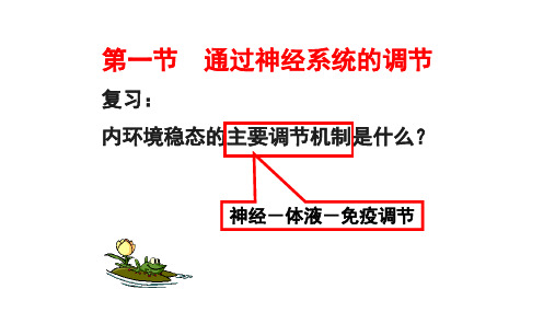 2018年秋人教版高中生物必修3第二章第1节 通过神经系统的调节(共27页)