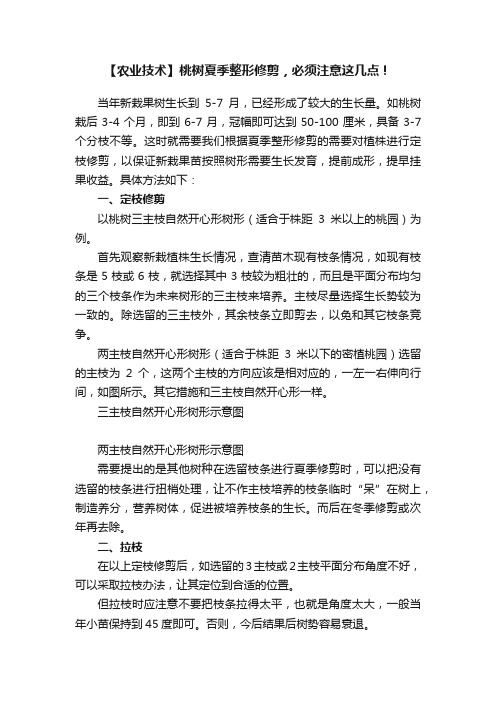 【农业技术】桃树夏季整形修剪，必须注意这几点！