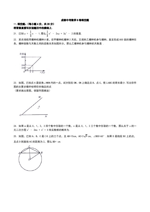 2022年四川省成都市中考数学B卷填空题练习