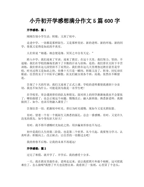 小升初开学感想满分作文5篇600字