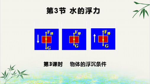 八年级下科学水的浮力演示课件浙教版