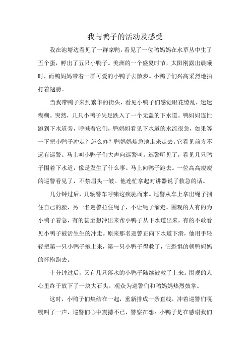 我与鸭子的活动及感受