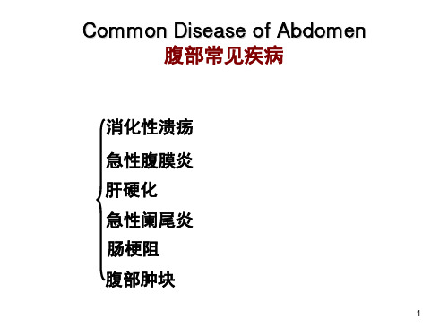 腹部常见疾病PPT课件