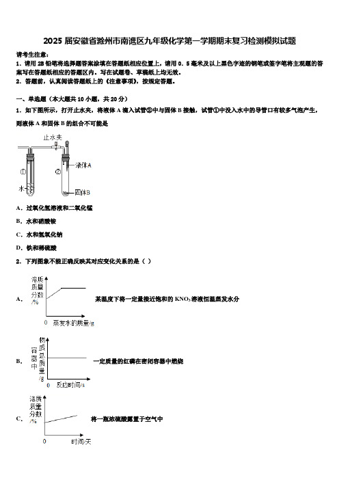 2025届安徽省滁州市南谯区九年级化学第一学期期末复习检测模拟试题含解析