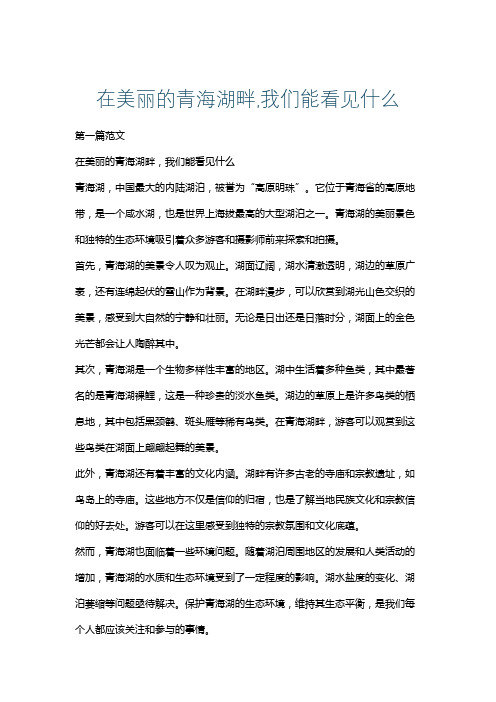 在美丽的青海湖畔,我们能看见什么