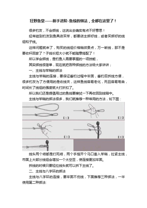 狂野鱼堂——新手进阶-鱼线的绑法，全都在这里了！