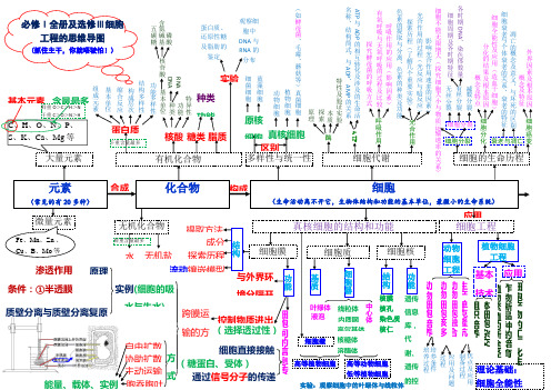 物质基础与细胞思维导图