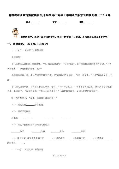 青海省海西蒙古族藏族自治州2020年五年级上学期语文期末专项复习卷(五)A卷