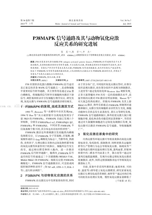 P38MAPK信号通路及其与动物氧化应激反应关系的研究进展