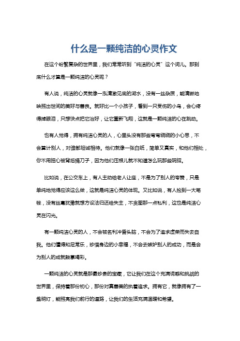 什么是一颗纯洁的心灵作文