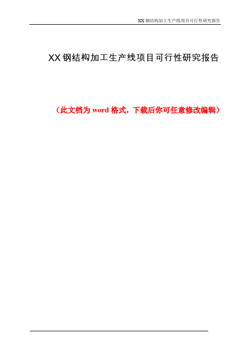 XX钢结构加工生产线项目可行性研究报告